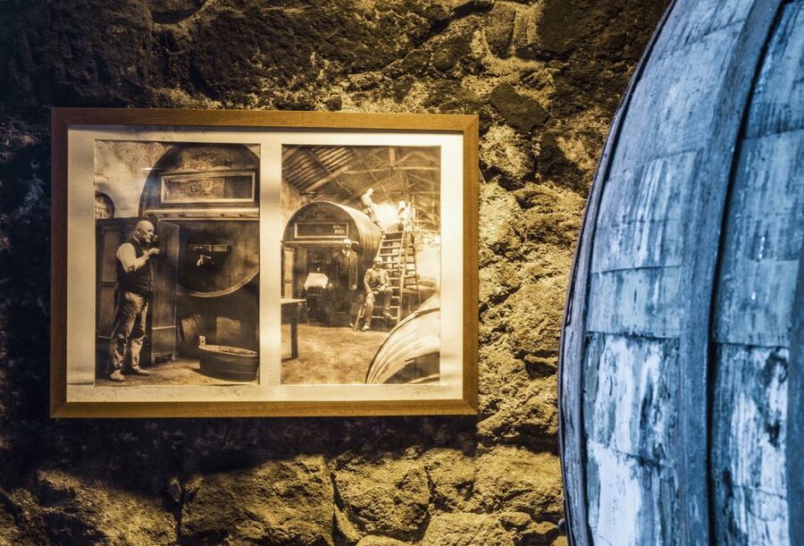 Porto: Burmester Cellar Tour with Tasting & Pairing Options - What the Group Size Means