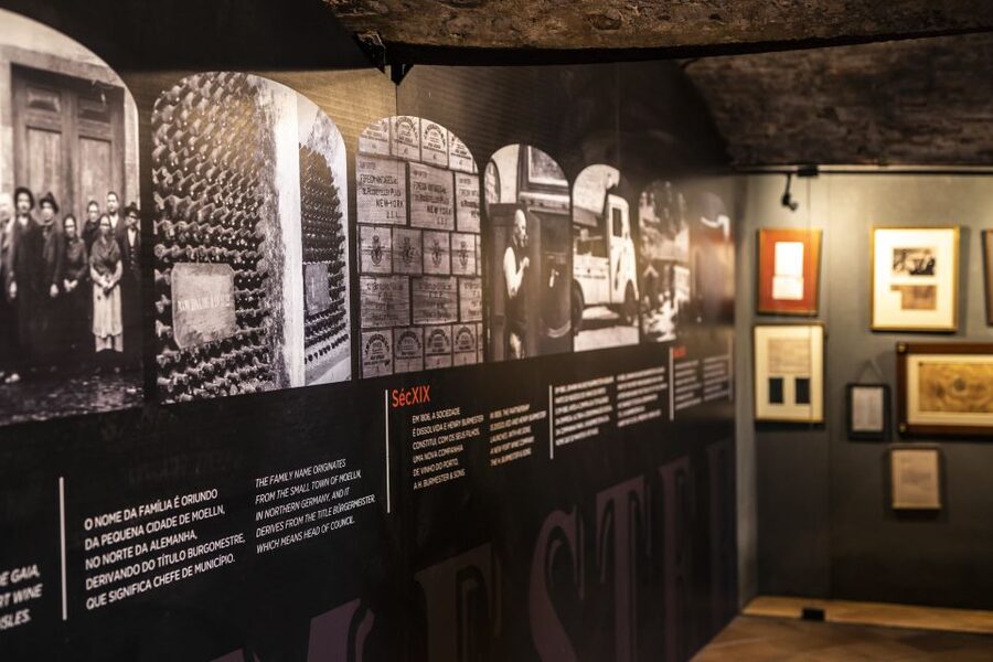 Porto: Burmester Cellar Tour with Tasting & Pairing Options - Choosing the Best Option for Your Visit