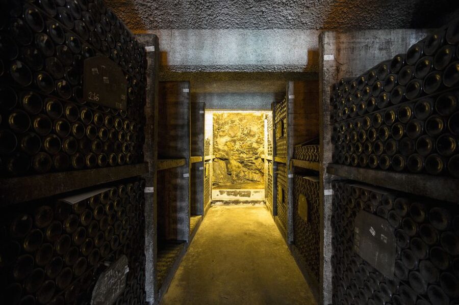 Porto: Burmester Cellar Tour with Tasting & Pairing Options - How It Fits Into a Porto Day