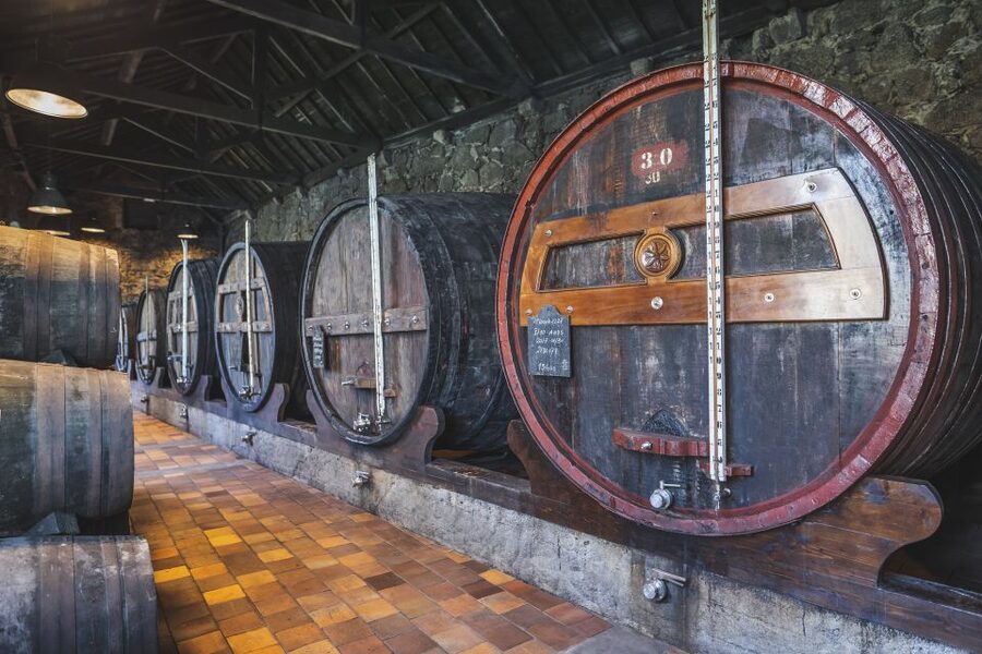 Porto: Burmester Cellar Tour with Tasting & Pairing Options - The 25-Minute Cellar Visit