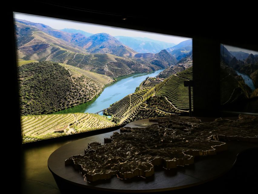 Porto: Cálem Cellar Tour, Interactive Museum & Wine Tasting - The standard tasting: Fine White and Special Reserve Tawny