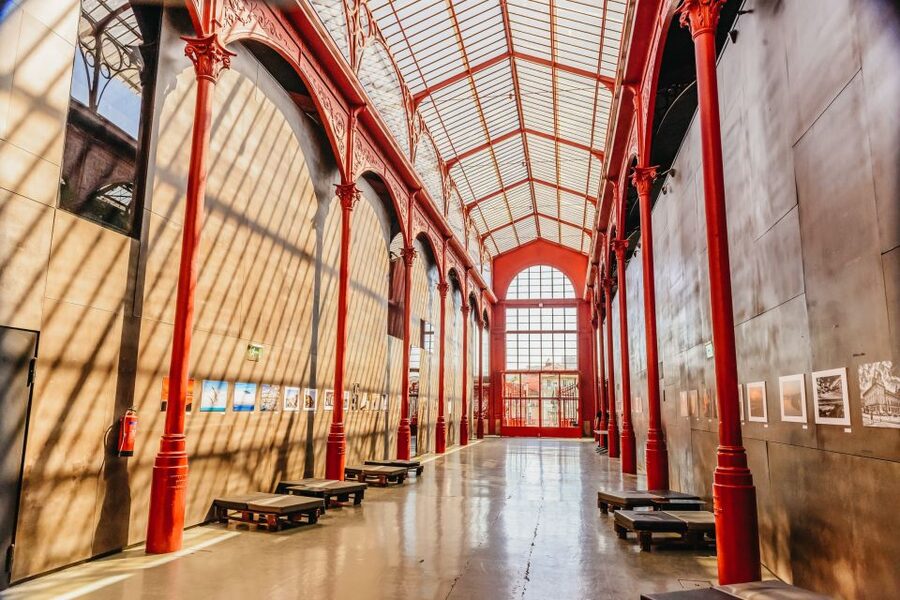Porto Card with Transportation (1, 2, 3 or 4 Days) - Is walking enough in Porto?
