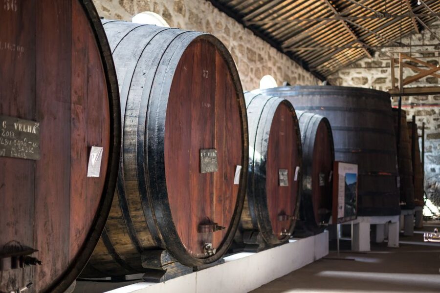 Porto: City Train Tour, River Cruise & Wine Cellar - Who should choose this experience