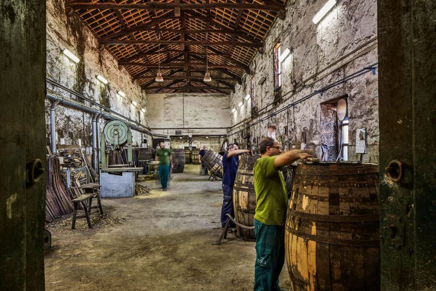 Porto: Cockburn’s Port Lodge Tour and Tasting - Tawny, vintage, and aged Port options