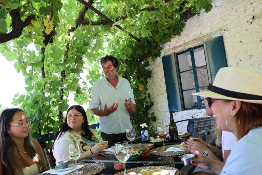 Porto: Douro Valley, 2 Wineries, Lunch, and 1-Hour Boat Tour - Why the Douro Valley makes a strong day trip from Porto
