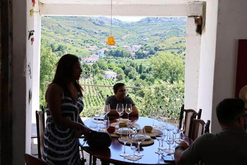 Porto: Douro Valley, 2 Wineries, Lunch, and 1-Hour Boat Tour - Who should book this Douro Valley day
