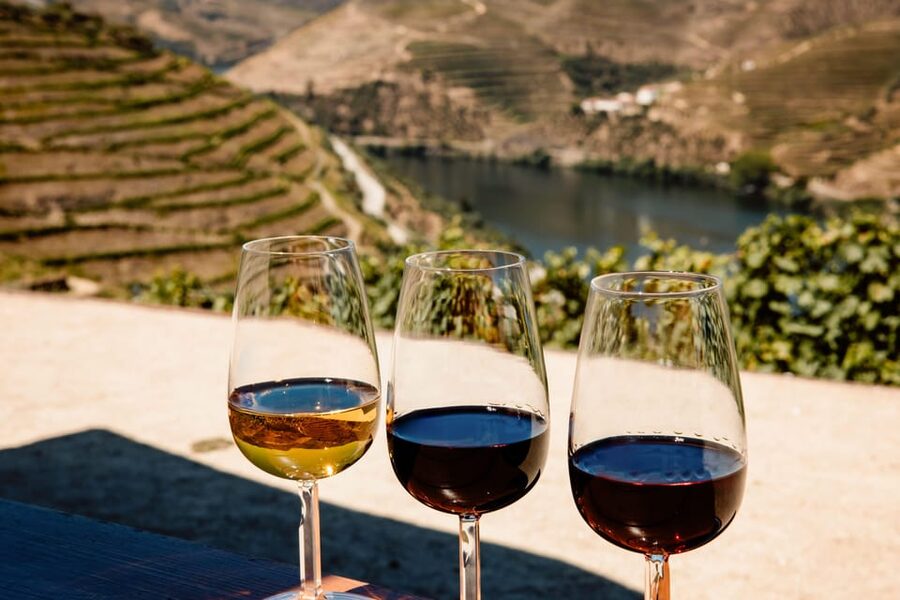 Porto: Douro Valley & Amarante Wine, Food & River Tour - Following the N222 through the Douro Valley