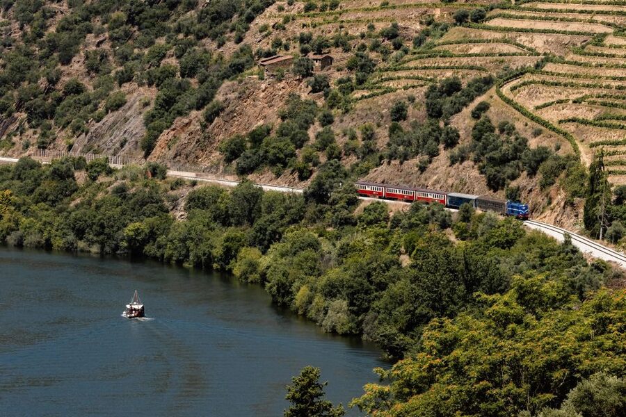 Porto: Douro Valley Full-Day Boat, Train, and Lunch Tour - Why this $128 Douro Valley tour works so well