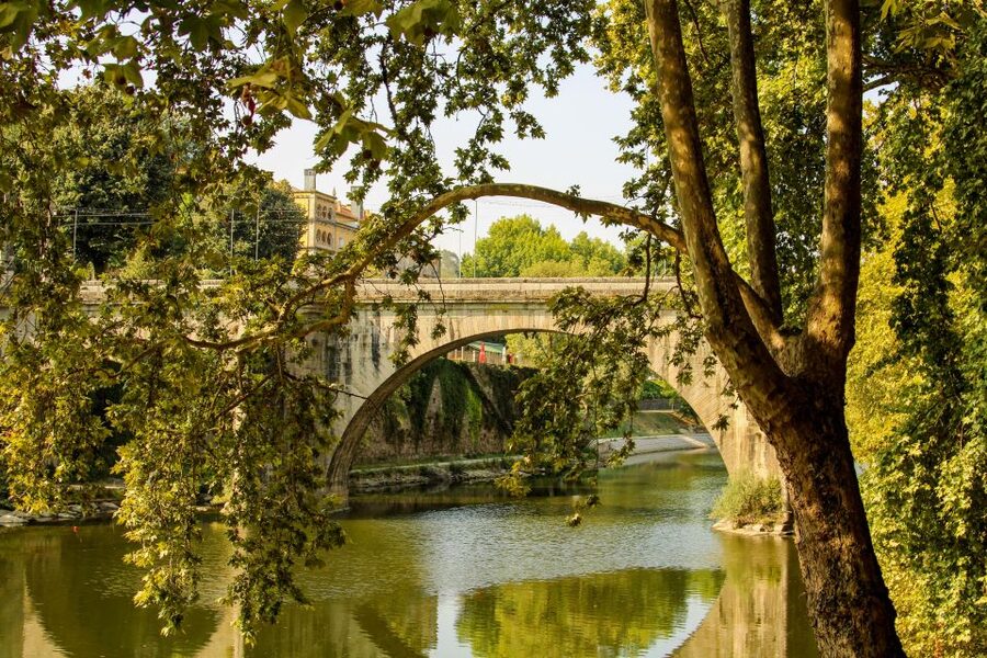 Porto: Douro Valley History & Wine Tour with Cruise & Lunch - Who will enjoy this tour most