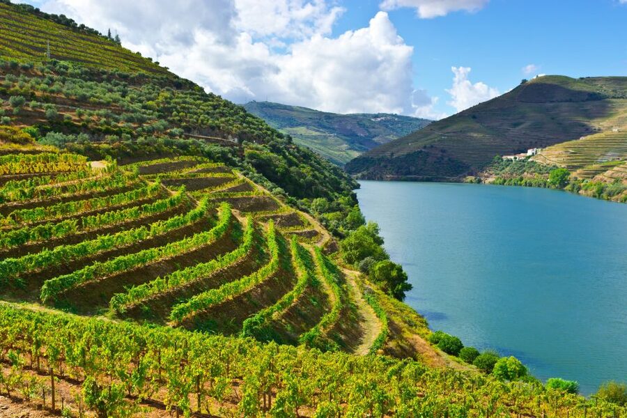 Porto: Douro Valley History & Wine Tour with Cruise & Lunch - Why the Douro Valley makes this a worthwhile day trip