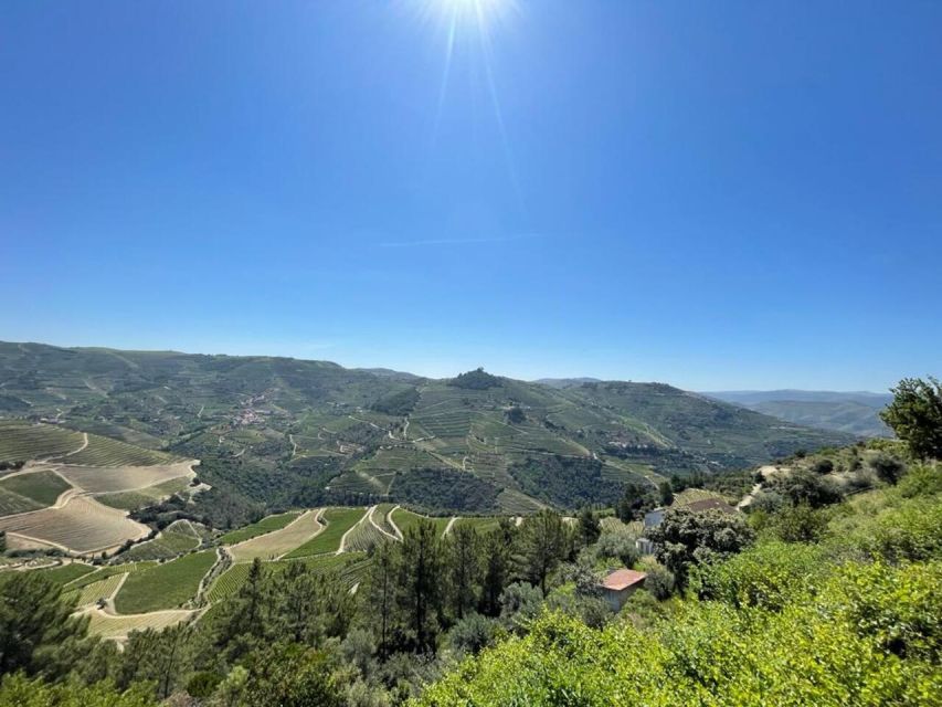 Porto: Douro Valley Tour with 2 Wineries, Lunch and Cruise - Why this Douro Valley day works so well from Porto