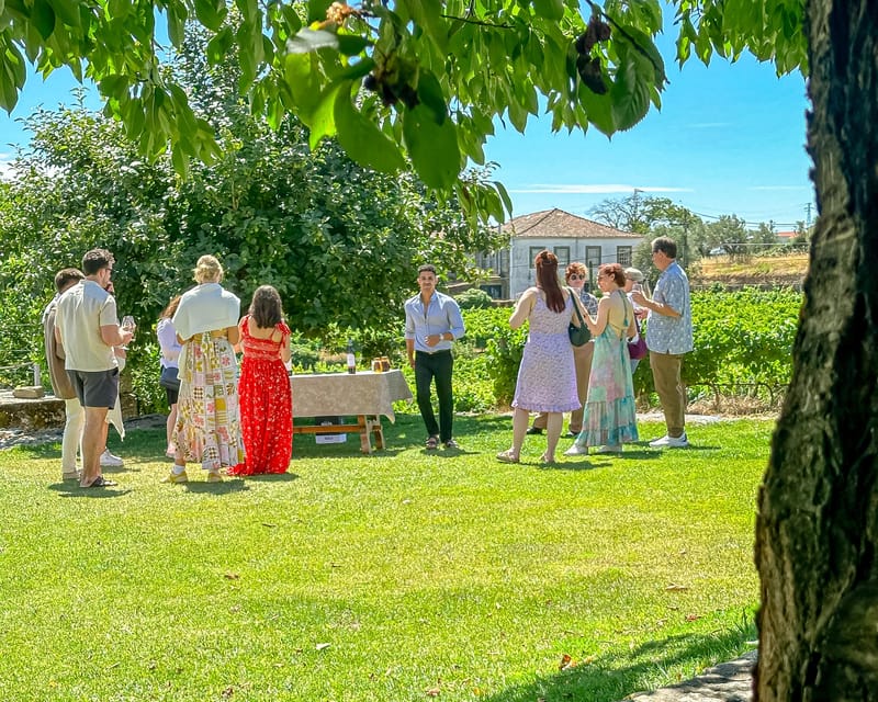 Porto: Douro Valley Tour with 2 Wineries, Lunch and Cruise - Breakfast, the N222, and the first valley views
