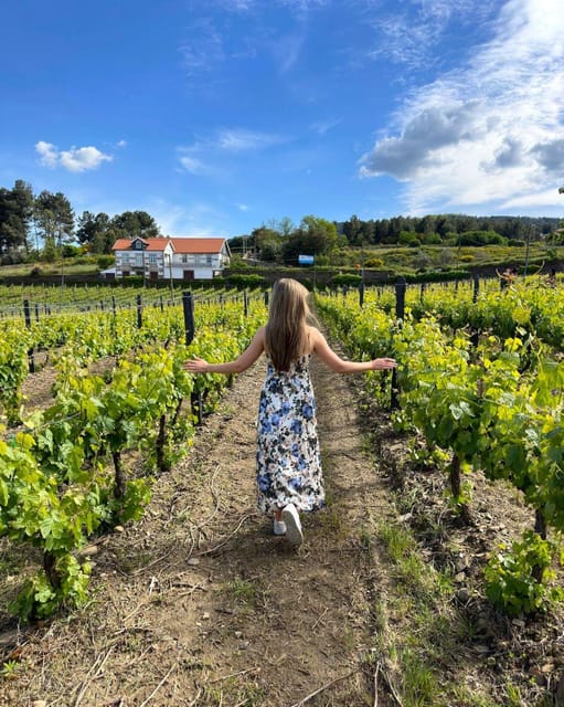 Porto: Douro Valley Tour with 2 Wineries, Lunch and Cruise - The second winery and the story of Port