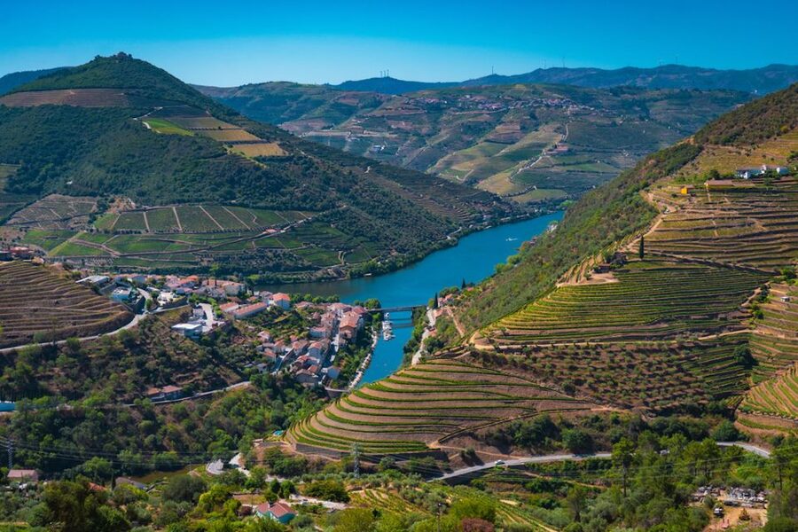 Porto: Douro Valley Tour with Lunch, Boat Cruise & Tastings - The 1959 cooperative explains how Douro wine is made