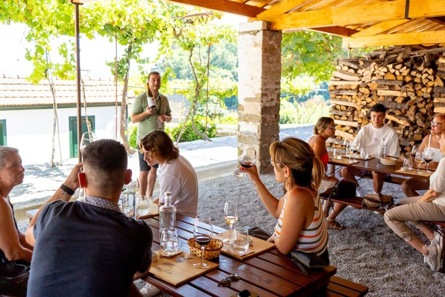 Porto: Douro Valley Tour with Lunch, Boat Cruise & Tastings - Cruising the Douro near Pinhão