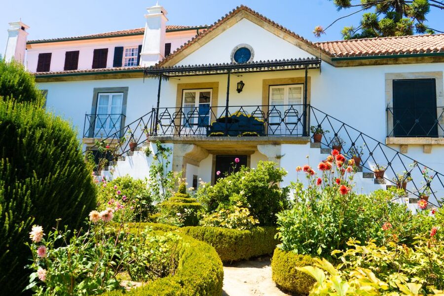 Porto: Douro Valley Tour with Lunch, Boat Cruise & Tastings - The N222 road and the Vila Real viewpoints