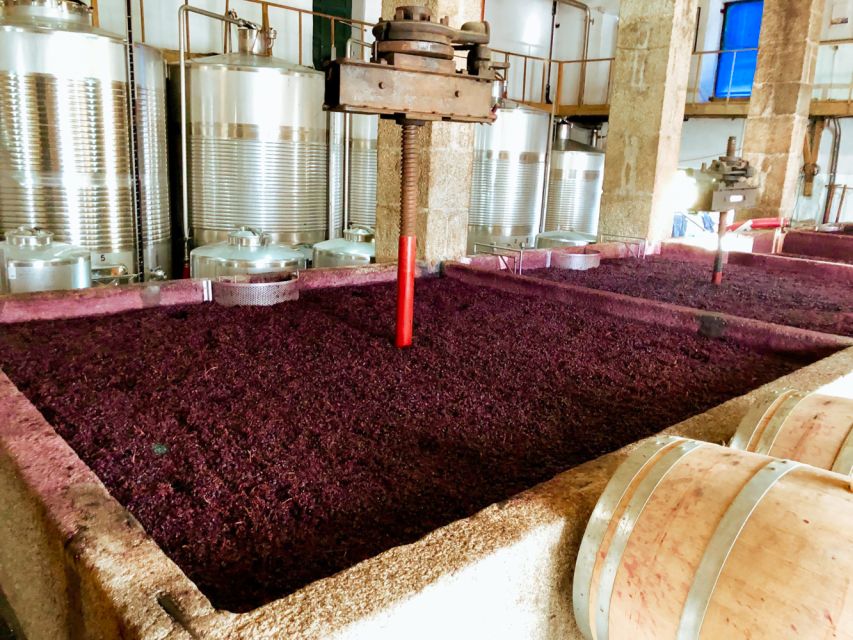 Porto: Douro Valley Tour with Wine Tasting, Cruise and Lunch - The return drive can be tiring