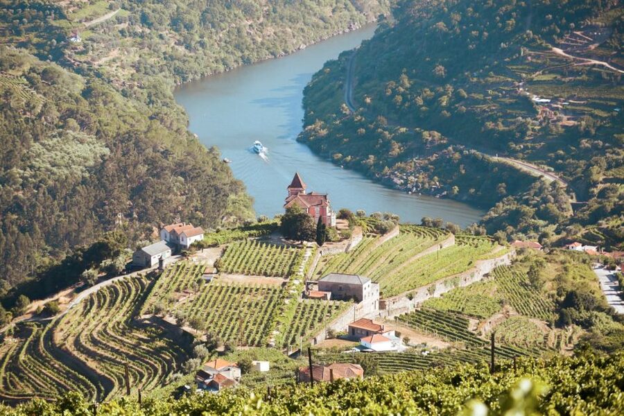 Porto: Douro Valley Tour with Wine Tasting, Cruise and Lunch - Peso da Régua gives you a first taste of the valley