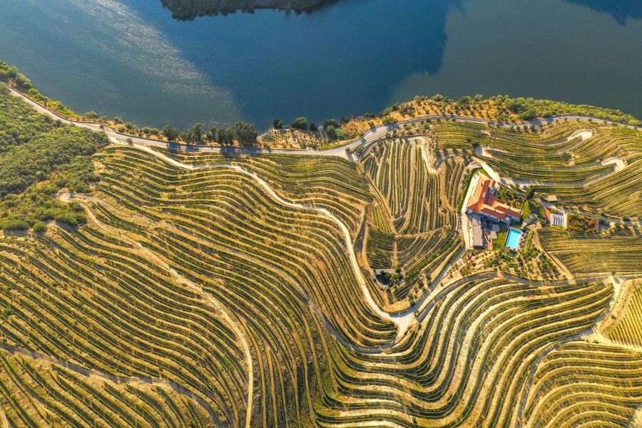 Porto: Douro Valley Tour with Wine Tasting, Cruise and Lunch - The first winery explains how Douro wine is made