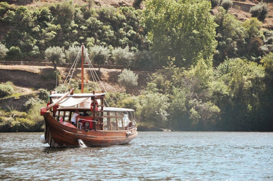Porto: Douro Valley Tour with Wine Tasting, Cruise and Lunch - Lunch is generous in spirit, but not always the star