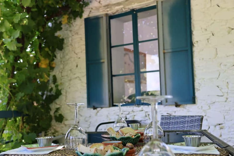 Porto: Douro Valley with Small Wineries, Lunch and Boat Tour - Timing, comfort, and practical advice