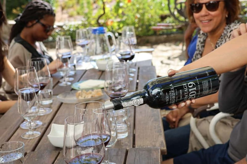Porto: Douro Valley with Small Wineries, Lunch and Boat Tour - Why small wineries change the Douro experience