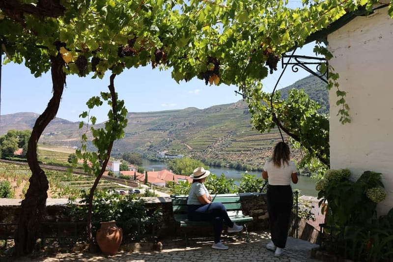 Porto: Douro Valley with Small Wineries, Lunch and Boat Tour - Pinhão, the Douro River, and lunch