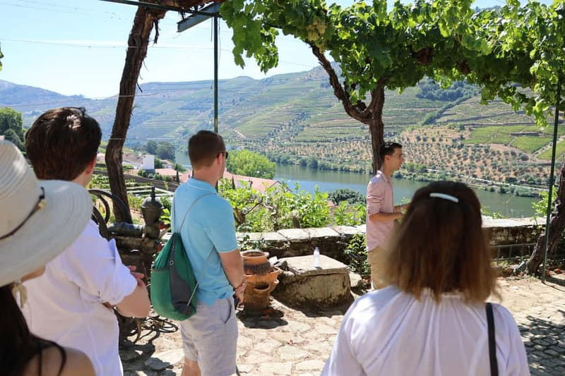 Porto: Douro Valley with Small Wineries, Lunch and Boat Tour - A second winery for a fuller wine day