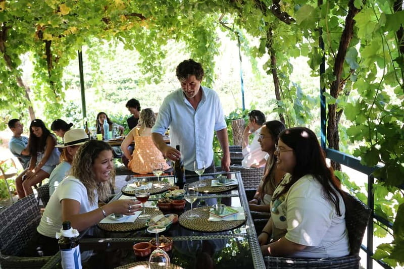 Porto: Douro Valley with Small Wineries, Lunch and Boat Tour - The guides are part of the value