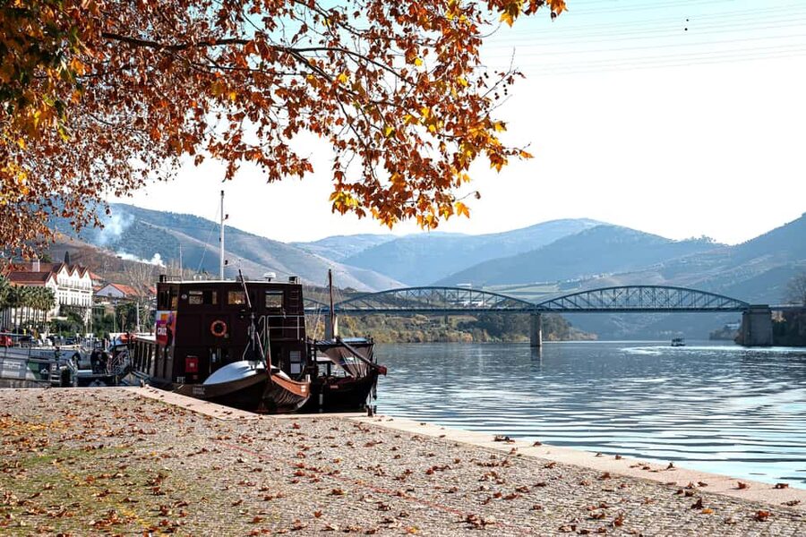 Porto: Douro Wine Tour with Lunch and River Cruise - Key points to know before booking