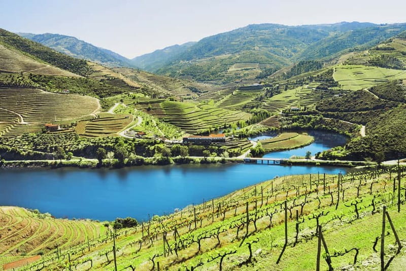 Porto: Douro Wine Tour with Lunch and River Cruise - The first winery: Port and Douro wine in context