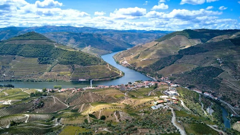 Porto: Douro Wine Tour with Lunch and River Cruise - The return to Porto and the value of the full day
