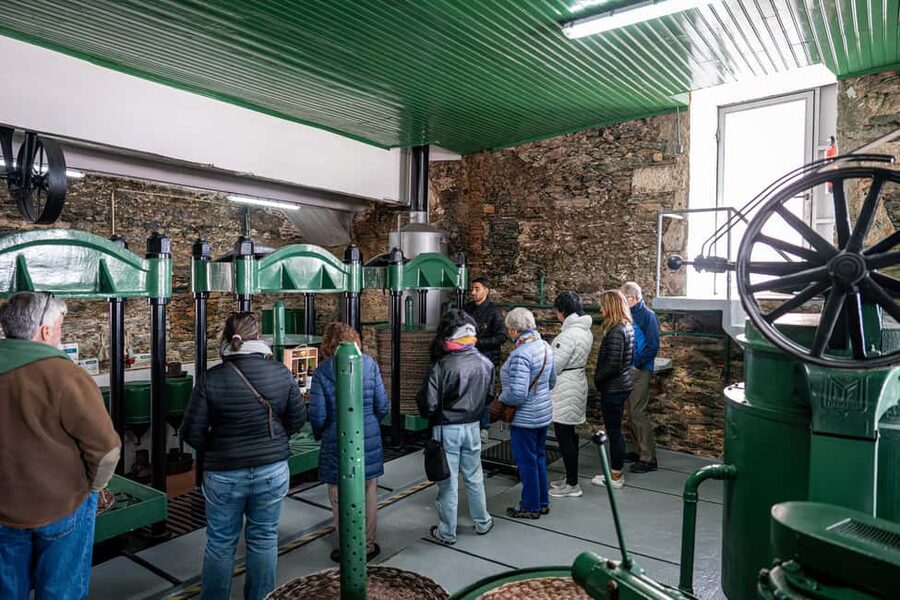 Porto: Douro Wine Tour with Lunch and River Cruise - Who will enjoy this Douro tour most