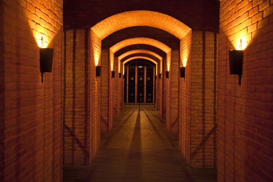 Porto: Graham's Port Lodge Tour with Premium Wine Tastings - Reaching the lodge from Porto or Gaia