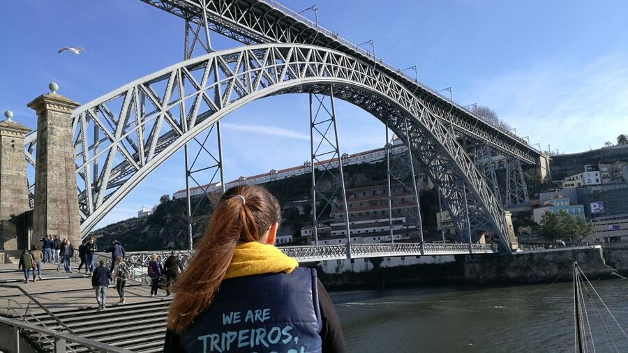 Porto: Guided 3-Hour Best of Tour by Segway - Starting at Bluedragon City Tours