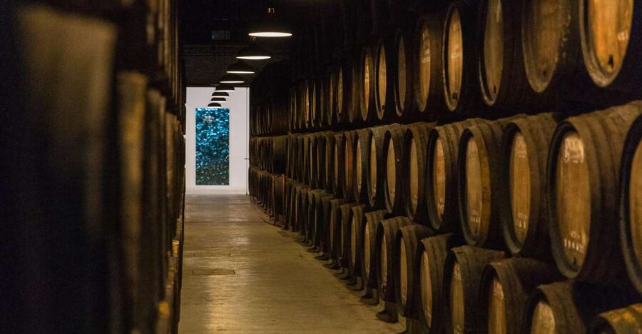 Porto: Guided Tour and Tasting of 3 Port Wines at Poças - Entering the Poças ageing cellar