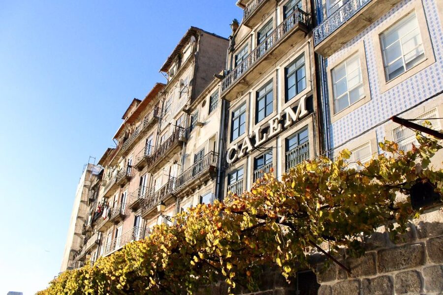 Porto: Guided Walking Tour and Lello Bookshop - Aliados Avenue and modern Porto