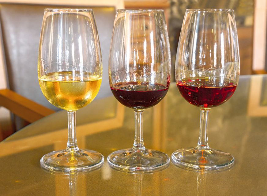 Porto Half-Day Tour and Wine Tasting - Should you book the Porto Half-Day Tour?
