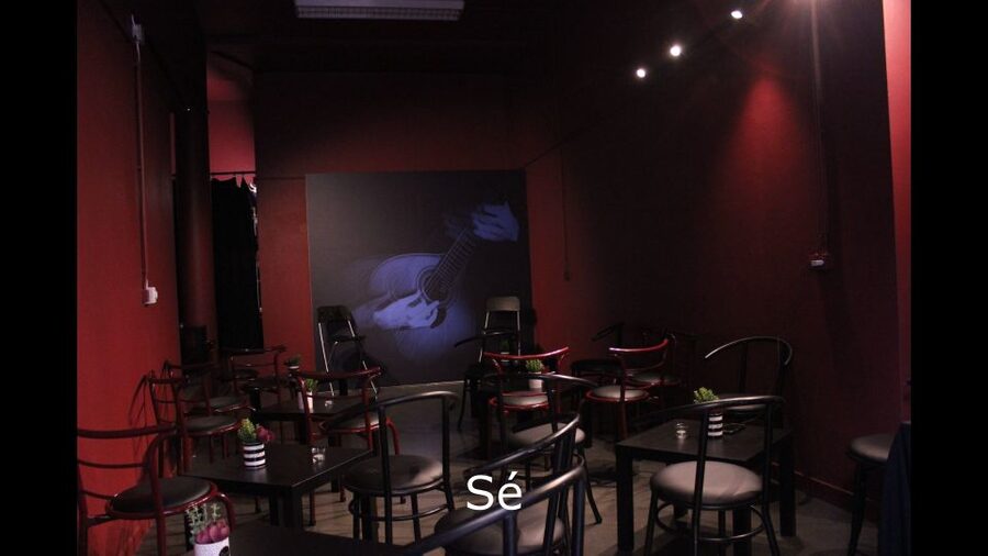 Porto: Live Fado Show with Glass of Port Wine - What happens during the one-hour program