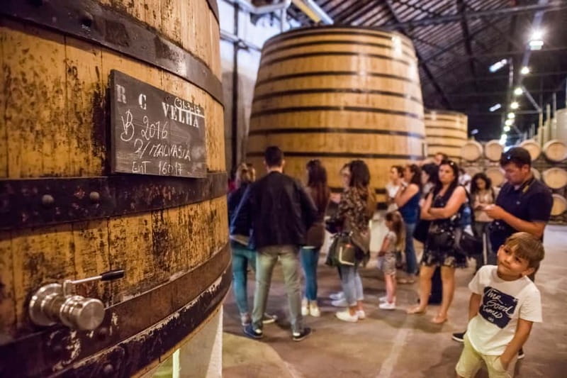 Porto: Magic Train Tour and Port Wine Cellar with Tastings - Entering Real Companhia Velha’s old wine cellar