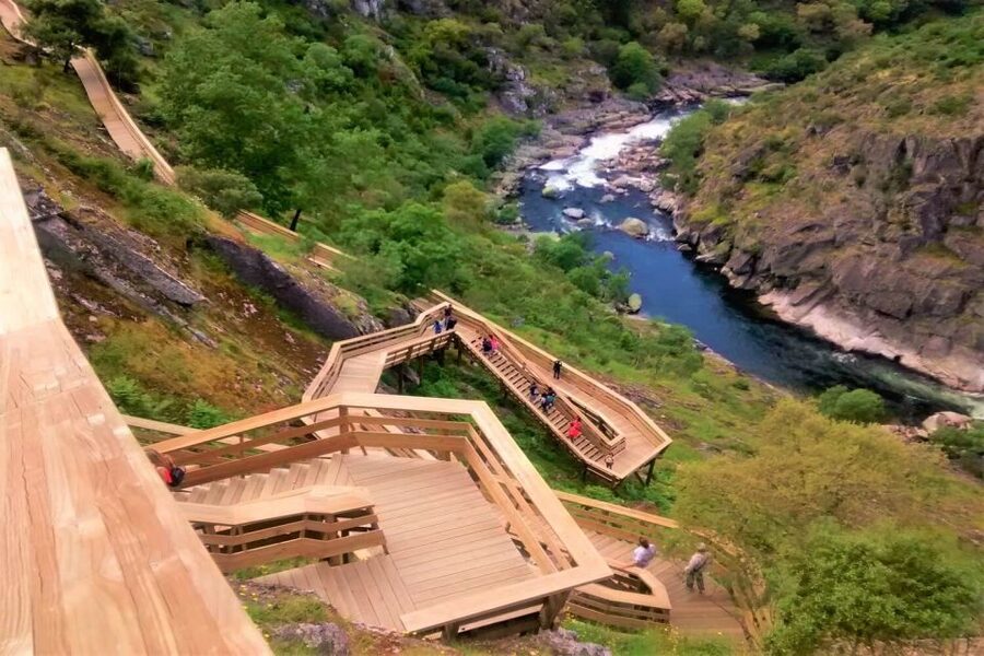Porto: Paiva Walkways and Suspension Bridge Hike with Lunch - Who should book this hike?