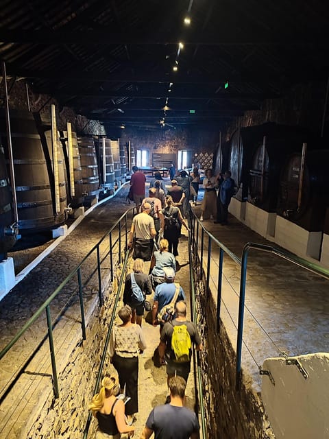 Porto: Port and Douro Wine Walking Tour with 9 Tastings - What makes this tour worth your afternoon