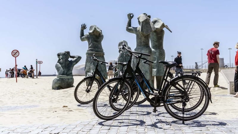 Porto Private E-Bike Tour: Douro River, Parks & Beaches - Returning through Parque da Cidade and Pasteleira