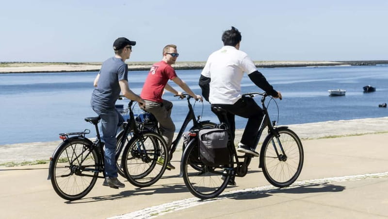 Porto Private E-Bike Tour: Douro River, Parks & Beaches - Following the river toward Foz