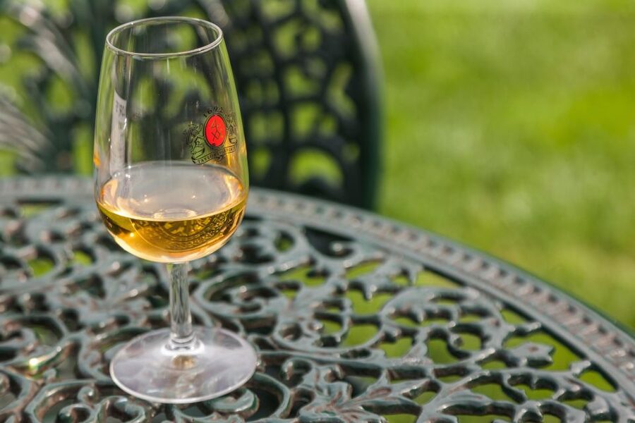 Porto: Taylor's Port Cellars & Tasting - Garden views and optional food