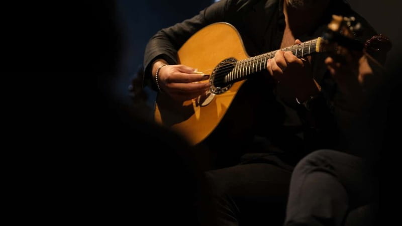 Porto: The highest-rated traditional fado concert (downtown) - Why this one-hour Fado concert works