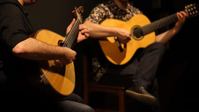Porto: The highest-rated traditional fado concert (downtown) - Hearing classic Fado up close