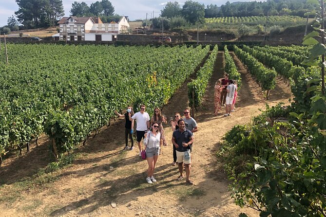 Premium Douro Valley Small-Group Tour, Wine Tasting, Lunch & Boat - From Porto to Quinta do Panascal