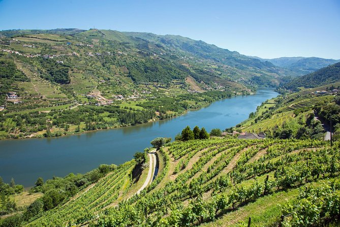 Premium Douro Valley Small-Group Tour, Wine Tasting, Lunch & Boat - Wine, food, and pacing