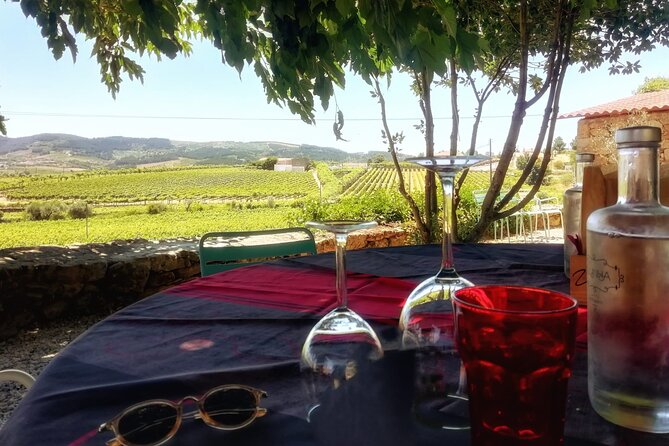 Premium Douro Valley Small-Group Tour, Wine Tasting, Lunch & Boat - A wooden boat ride from Pinhão